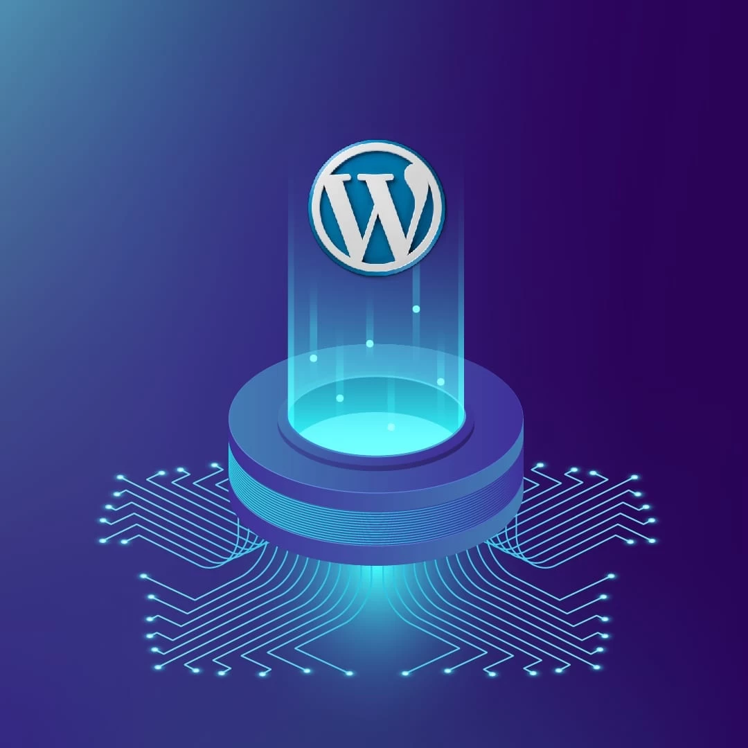 Wordpres Hosting Nelere Dikkat Edilmeli.